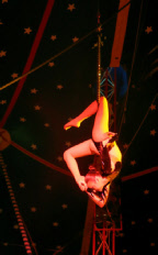 Cirque de noel Cirque de Noël Cirque Arbre de Noël